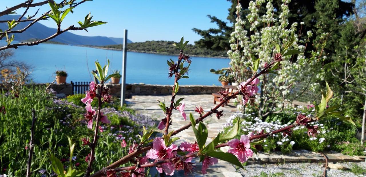 Blueline Guesthouse Agios Dimitrios  Esterno foto