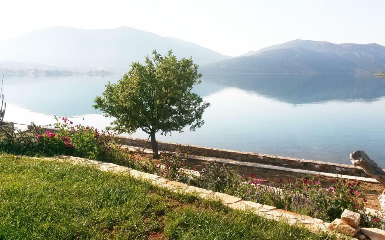 Blueline Guesthouse Agios Dimitrios  Esterno foto